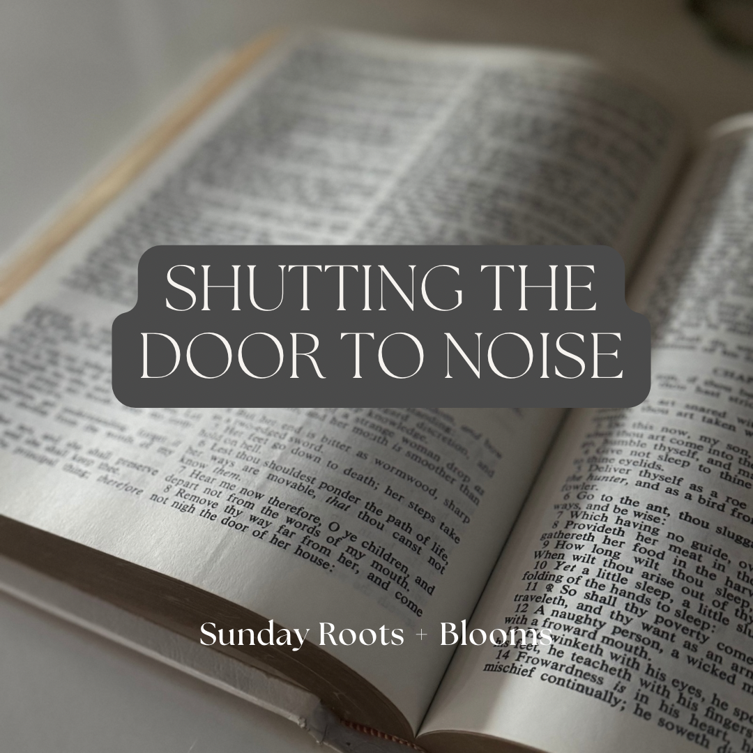 Shutting the Door to Noise