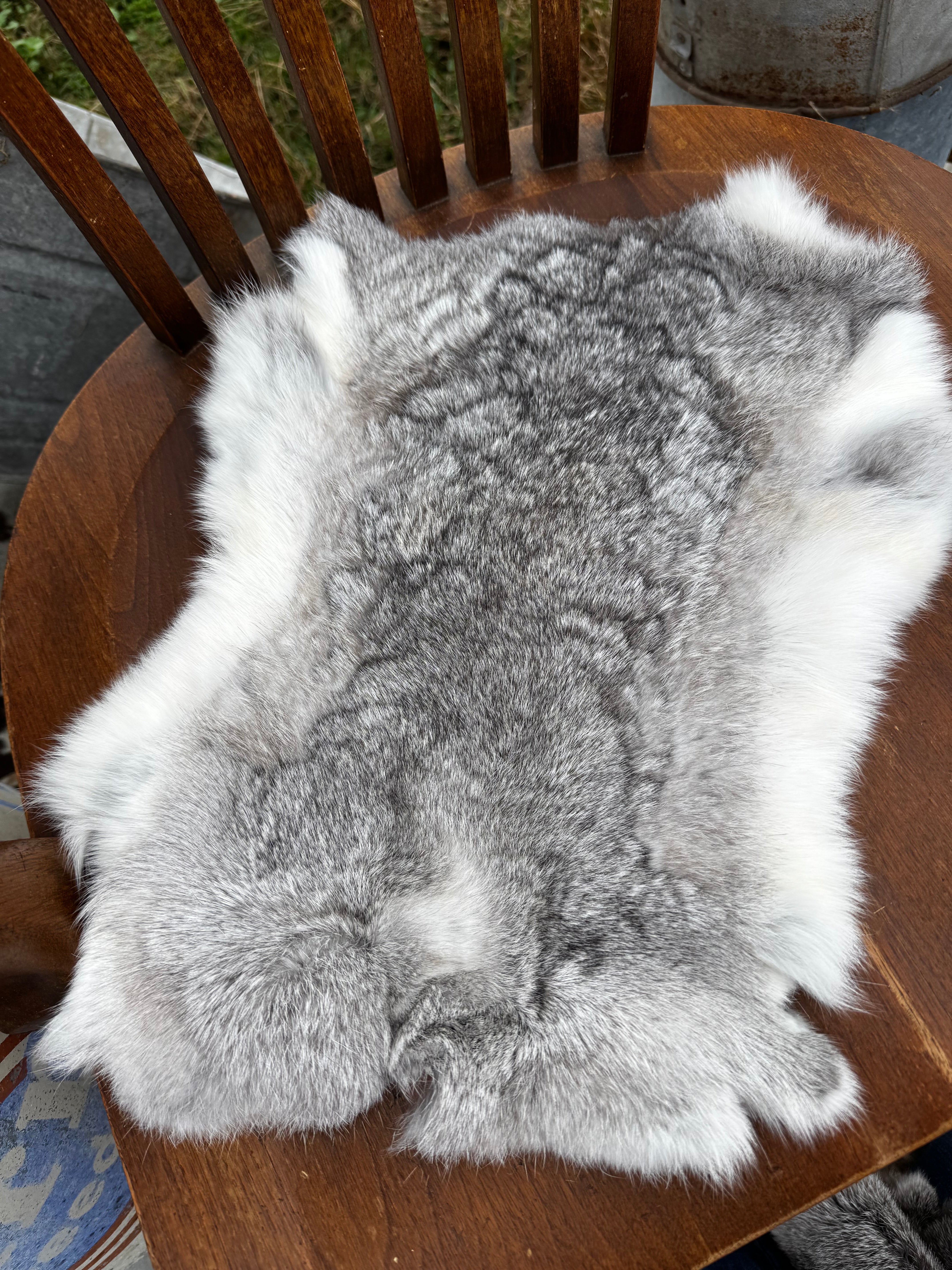 Rabbit pelts