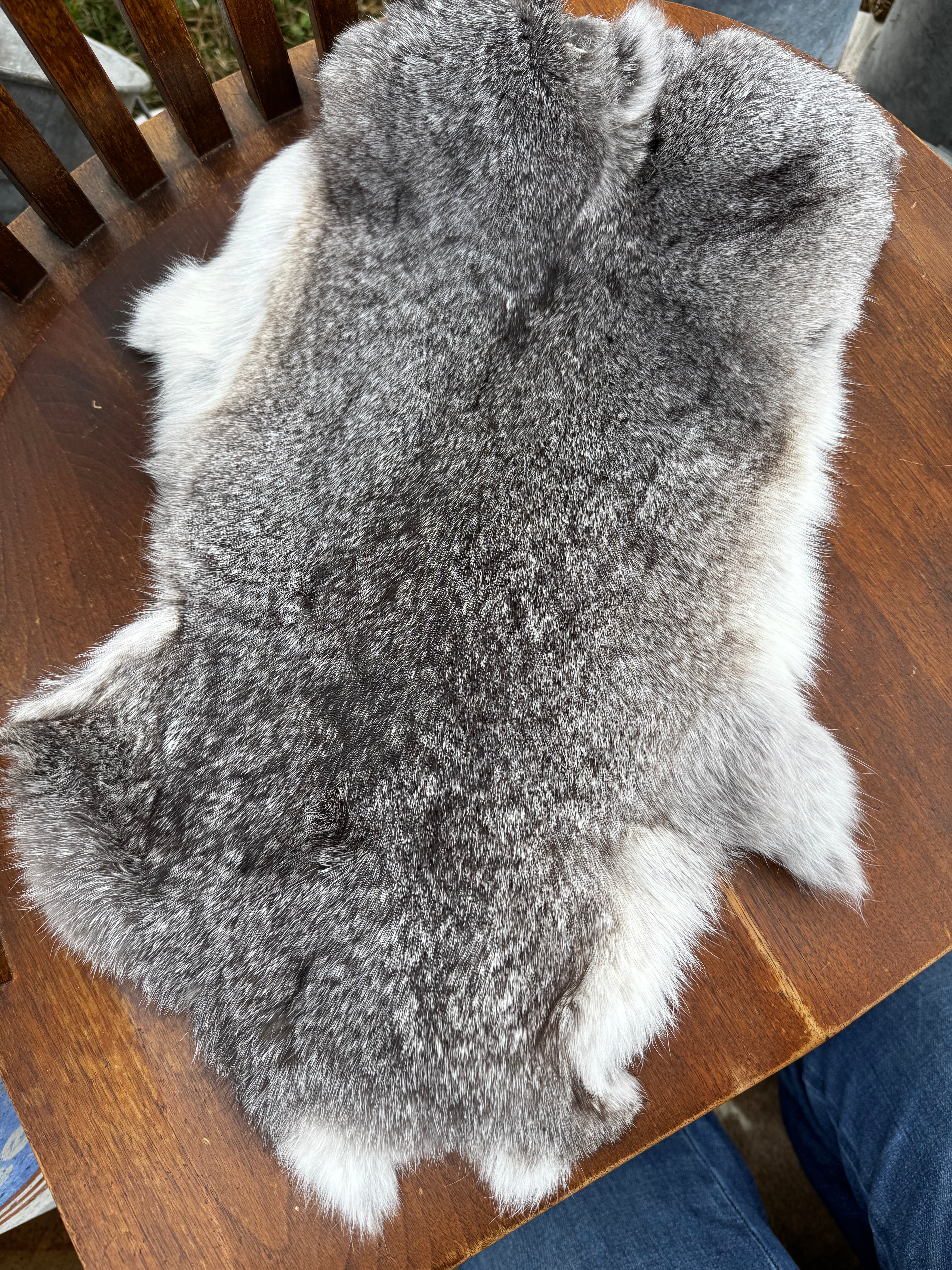Rabbit pelts