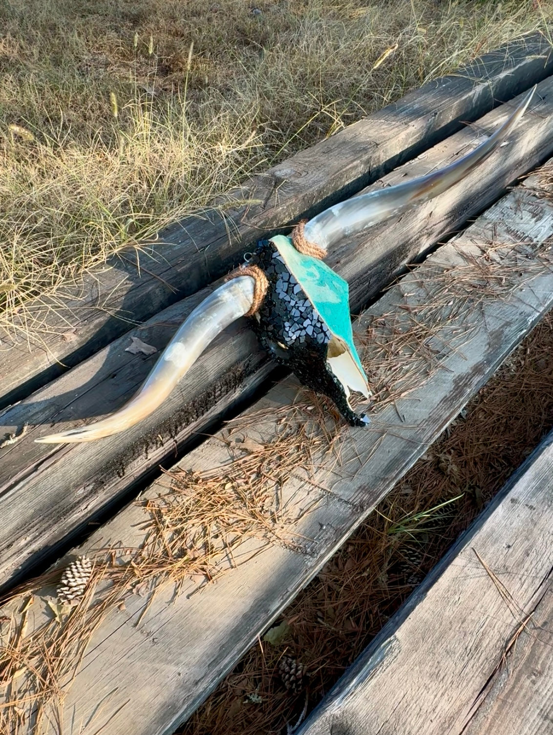 Custom Cow Skull Art Piece