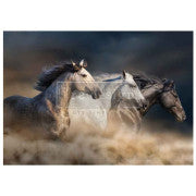 Wild Hearts Run Free A1 Decoupage Fiber Paper